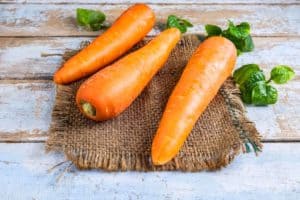 Wie lange sind Karotten haltbar?